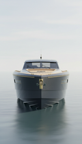 Carbon Sport Cruiser With Fiberglass Hull